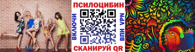 Купить закладки  Удомля  Псилоцибиновые грибы Psilocybine cubensis 